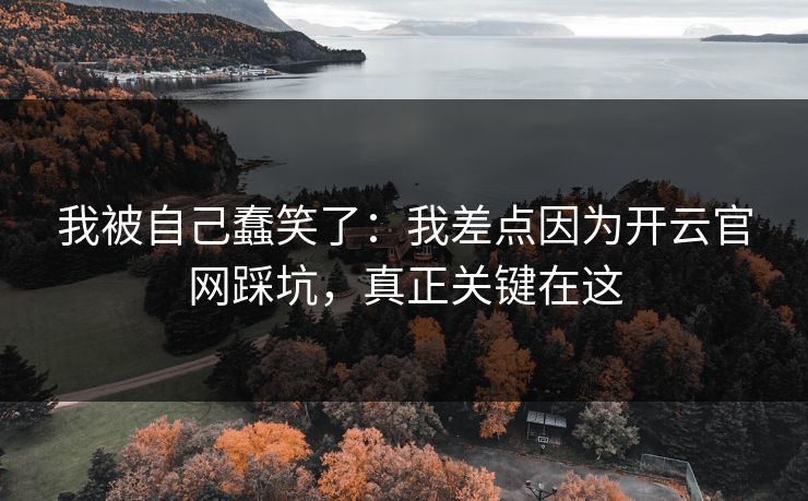 我被自己蠢笑了：我差点因为开云官网踩坑，真正关键在这