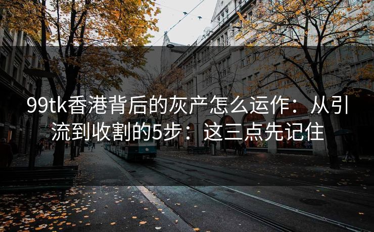 99tk香港背后的灰产怎么运作：从引流到收割的5步：这三点先记住