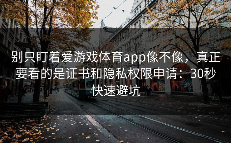 别只盯着爱游戏体育app像不像，真正要看的是证书和隐私权限申请：30秒快速避坑