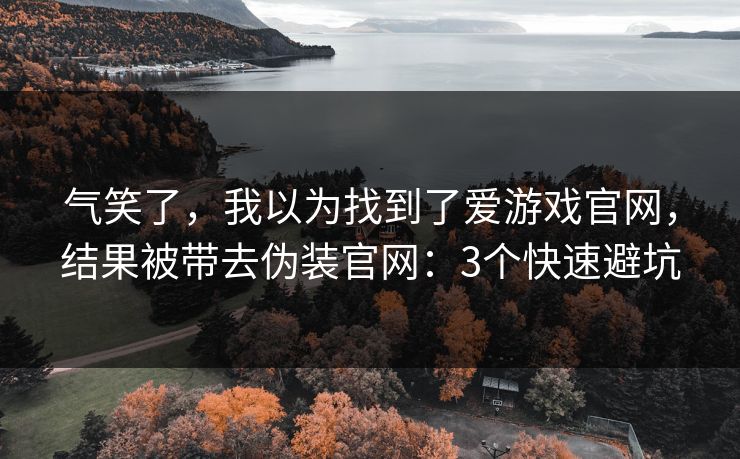 气笑了，我以为找到了爱游戏官网，结果被带去伪装官网：3个快速避坑