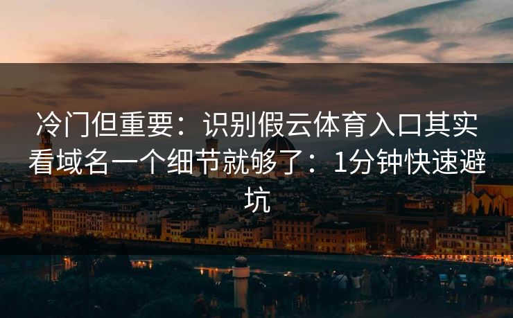 冷门但重要：识别假云体育入口其实看域名一个细节就够了：1分钟快速避坑