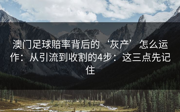澳门足球賠率背后的‘灰产’怎么运作：从引流到收割的4步：这三点先记住
