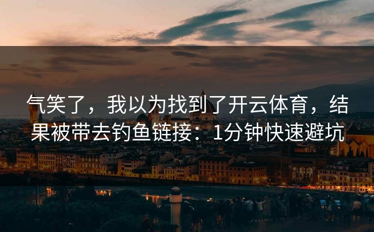 气笑了，我以为找到了开云体育，结果被带去钓鱼链接：1分钟快速避坑